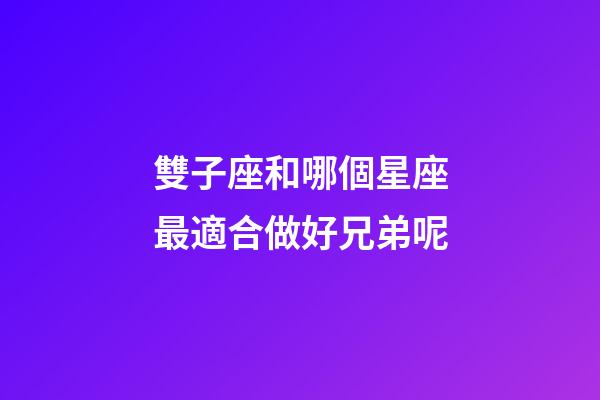 雙子座和哪個星座最適合做好兄弟呢-第1張-星座運勢-玄機派