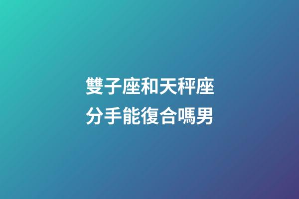雙子座和天秤座分手能復合嗎男-第1張-星座運勢-玄機派