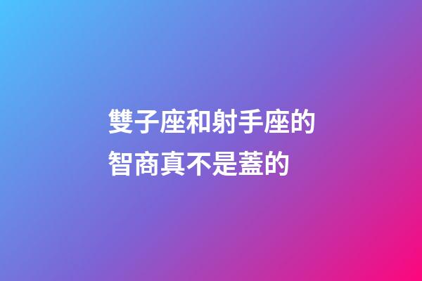 雙子座和射手座的智商真不是蓋的-第1張-星座運勢-玄機派