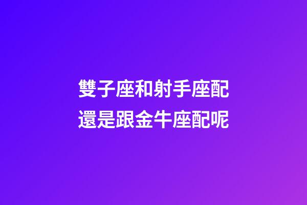 雙子座和射手座配還是跟金牛座配呢-第1張-星座運勢-玄機派
