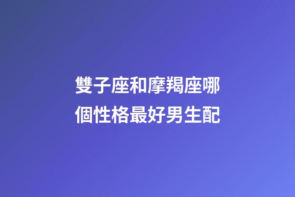 雙子座和摩羯座哪個性格最好男生配-第1張-星座運勢-玄機派