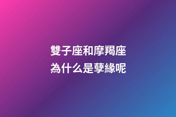 雙子座和摩羯座為什么是孽緣呢-第1張-星座運勢-玄機派