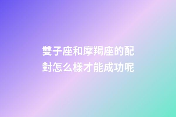 雙子座和摩羯座的配對怎么樣才能成功呢