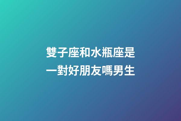 雙子座和水瓶座是一對好朋友嗎男生-第1張-星座運勢-玄機派