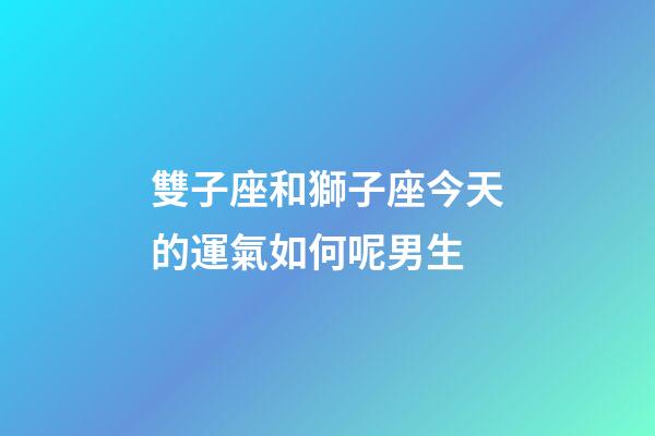 雙子座和獅子座今天的運氣如何呢男生-第1張-星座運勢-玄機派