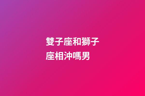 雙子座和獅子座相沖嗎男-第1張-星座運勢-玄機派