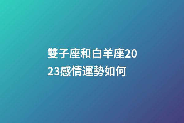 雙子座和白羊座2023感情運勢如何-第1張-星座運勢-玄機派