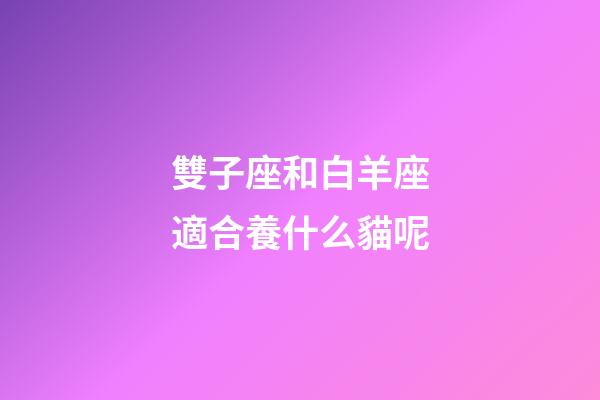 雙子座和白羊座適合養什么貓呢-第1張-星座運勢-玄機派
