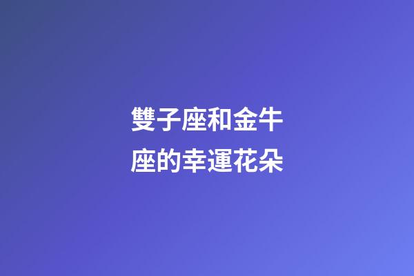 雙子座和金牛座的幸運花朵-第1張-星座運勢-玄機派