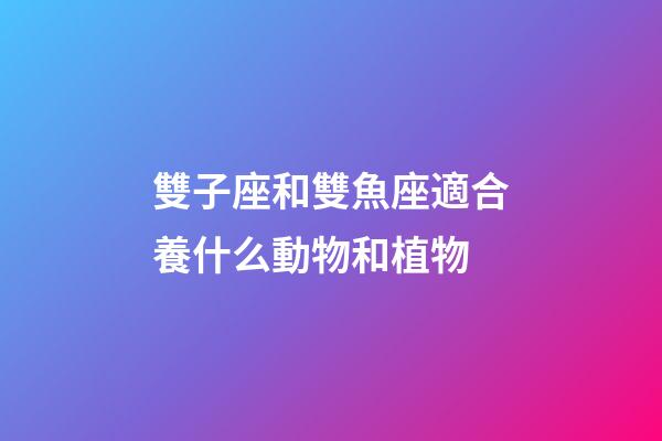 雙子座和雙魚座適合養什么動物和植物-第1張-星座運勢-玄機派