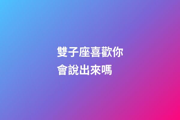 雙子座喜歡你會說出來嗎-第1張-星座運勢-玄機派