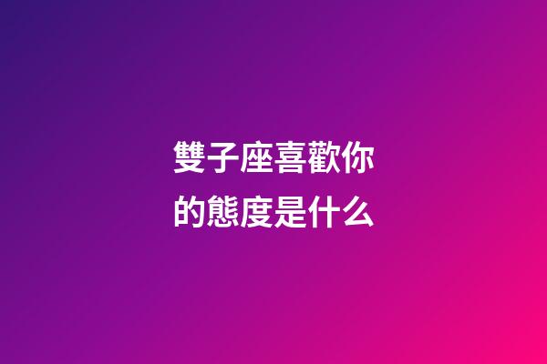 雙子座喜歡你的態度是什么-第1張-星座運勢-玄機派