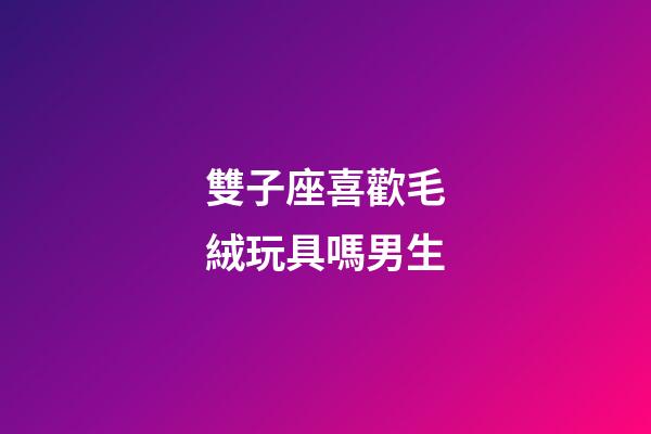 雙子座喜歡毛絨玩具嗎男生-第1張-星座運勢-玄機派