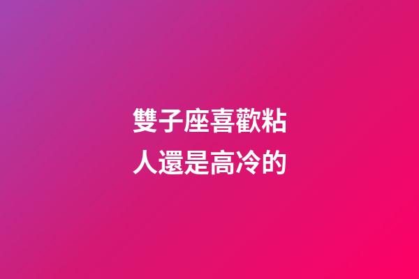 雙子座喜歡粘人還是高冷的-第1張-星座運(yùn)勢(shì)-玄機(jī)派