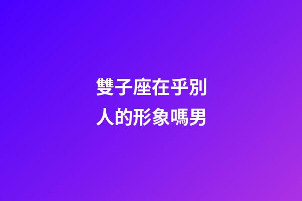 雙子座在乎別人的形象嗎男-第1張-星座運勢-玄機派