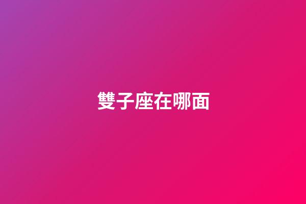 雙子座在哪面-第1張-星座運勢-玄機派