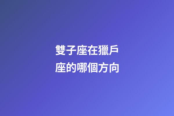 雙子座在獵戶座的哪個方向