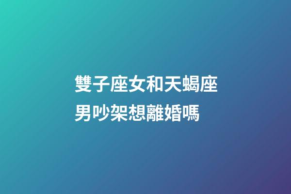 雙子座女和天蝎座男吵架想離婚嗎-第1張-星座運勢-玄機派