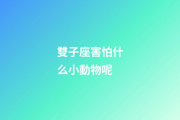 雙子座害怕什么小動物呢