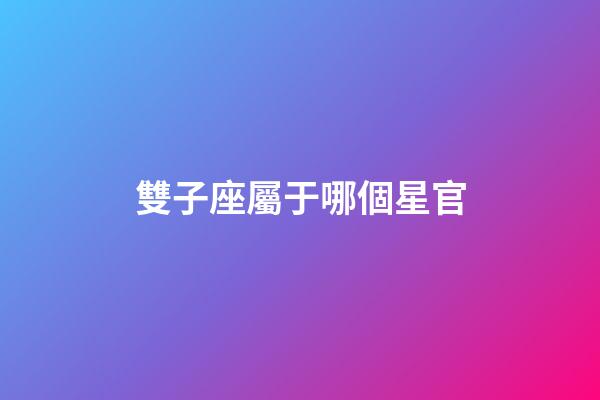 雙子座屬于哪個星官-第1張-星座運勢-玄機派