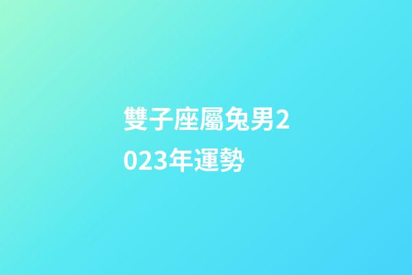 雙子座屬兔男2023年運勢-第1張-星座運勢-玄機派