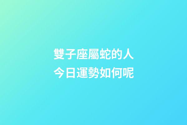 雙子座屬蛇的人今日運勢如何呢-第1張-星座運勢-玄機派