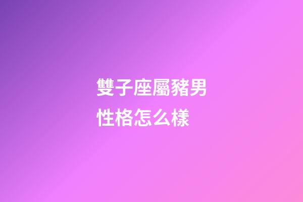 雙子座屬豬男性格怎么樣-第1張-星座運勢-玄機派