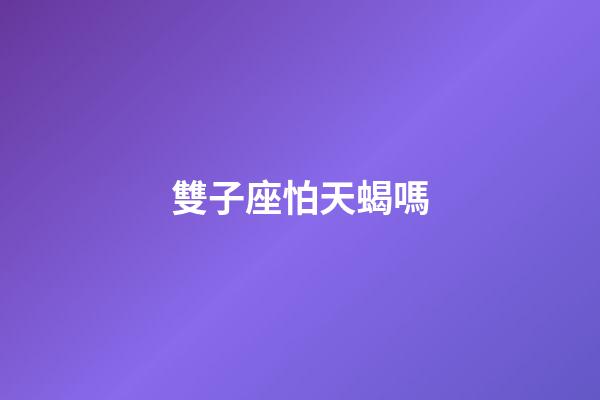 雙子座怕天蝎嗎-第1張-星座運勢-玄機派