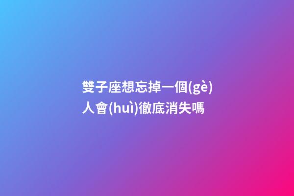 雙子座想忘掉一個(gè)人會(huì)徹底消失嗎-第1張-星座運(yùn)勢(shì)-玄機(jī)派