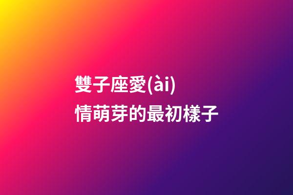 雙子座愛(ài)情萌芽的最初樣子