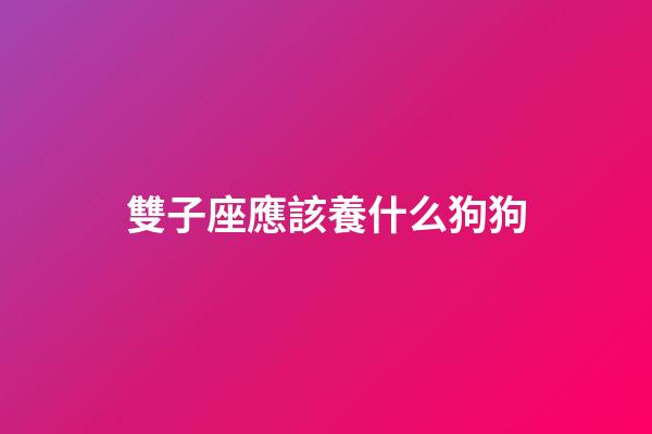 雙子座應該養什么狗狗-第1張-星座運勢-玄機派