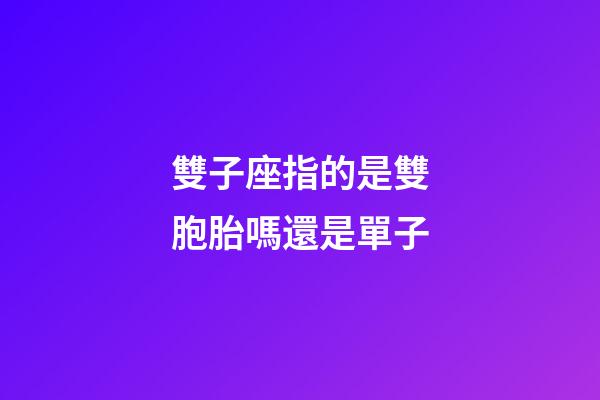 雙子座指的是雙胞胎嗎還是單子-第1張-星座運勢-玄機派