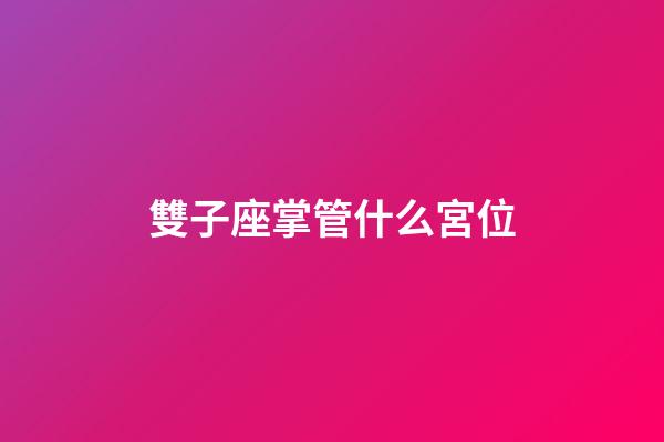 雙子座掌管什么宮位-第1張-星座運勢-玄機派