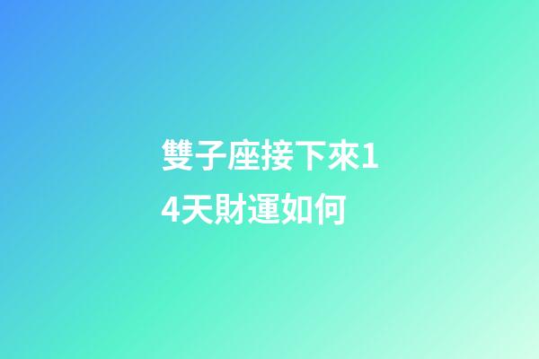 雙子座接下來14天財運如何-第1張-星座運勢-玄機派