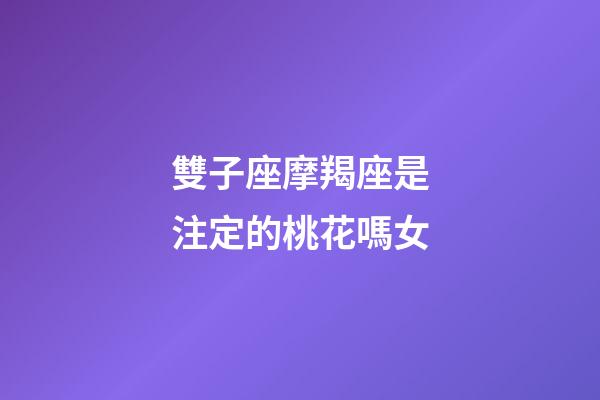 雙子座摩羯座是注定的桃花嗎女-第1張-星座運(yùn)勢-玄機(jī)派