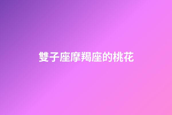 雙子座摩羯座的桃花-第1張-星座運勢-玄機派