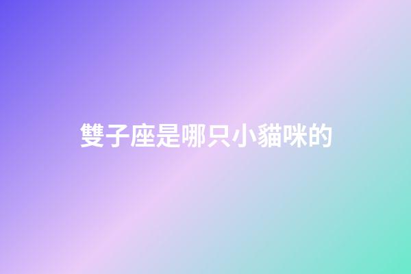 雙子座是哪只小貓咪的-第1張-星座運(yùn)勢(shì)-玄機(jī)派