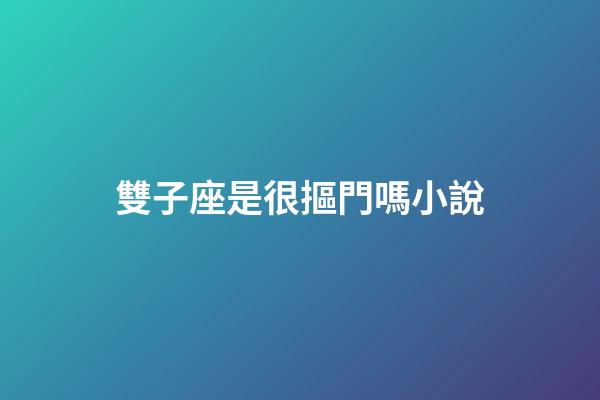 雙子座是很摳門嗎小說-第1張-星座運勢-玄機派