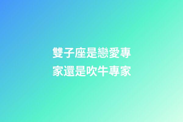 雙子座是戀愛專家還是吹牛專家-第1張-星座運勢-玄機派
