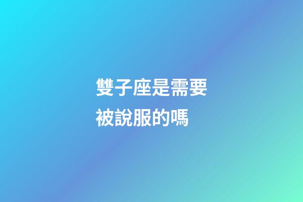 雙子座是需要被說服的嗎-第1張-星座運勢-玄機派