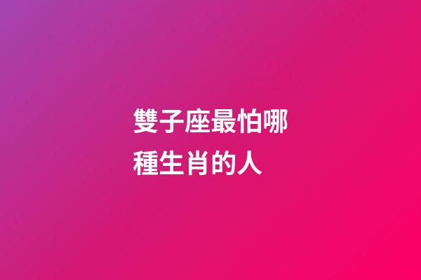雙子座最怕哪種生肖的人-第1張-星座運(yùn)勢(shì)-玄機(jī)派