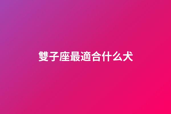 雙子座最適合什么犬-第1張-星座運(yùn)勢(shì)-玄機(jī)派
