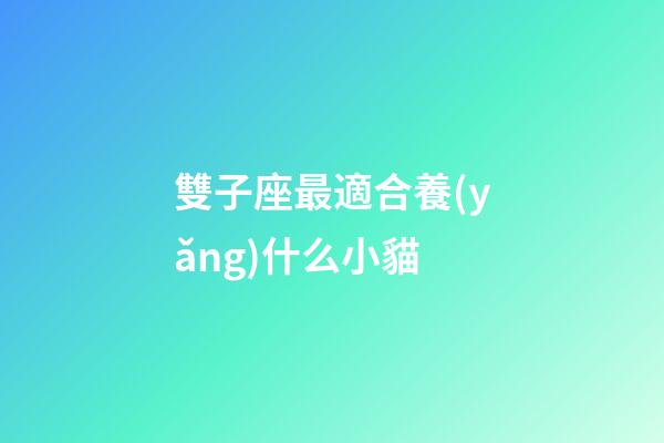 雙子座最適合養(yǎng)什么小貓-第1張-星座運勢-玄機派