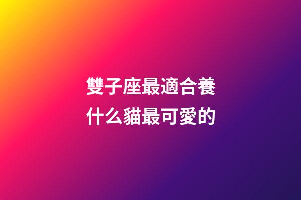 雙子座最適合養什么貓最可愛的-第1張-星座運勢-玄機派