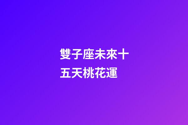 雙子座未來十五天桃花運-第1張-星座運勢-玄機派