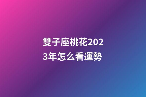 雙子座桃花2023年怎么看運勢-第1張-星座運勢-玄機派