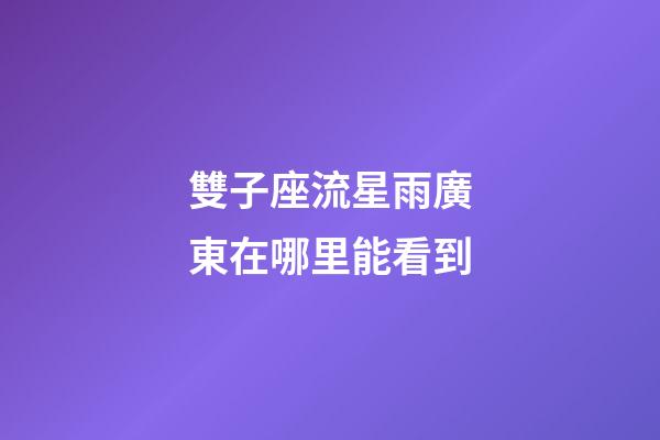 雙子座流星雨廣東在哪里能看到-第1張-星座運(yùn)勢(shì)-玄機(jī)派
