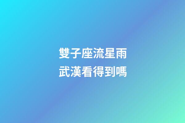 雙子座流星雨武漢看得到嗎