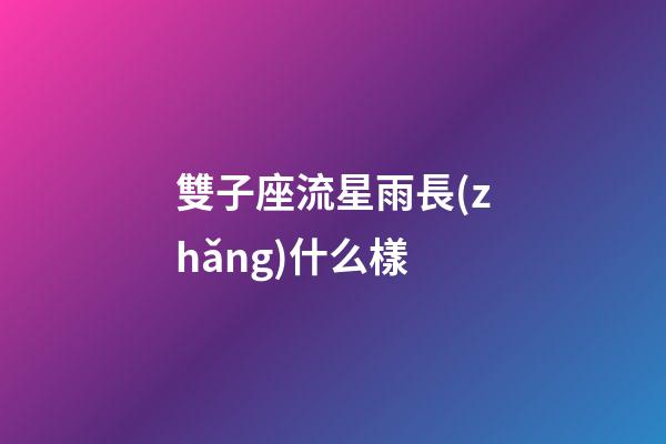 雙子座流星雨長(zhǎng)什么樣-第1張-星座運(yùn)勢(shì)-玄機(jī)派