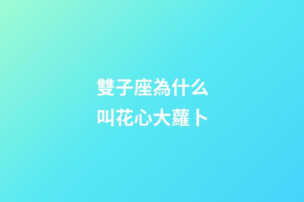 雙子座為什么叫花心大蘿卜-第1張-星座運勢-玄機派